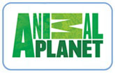Animal Planet logo лого